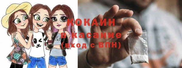 дмт Арсеньев