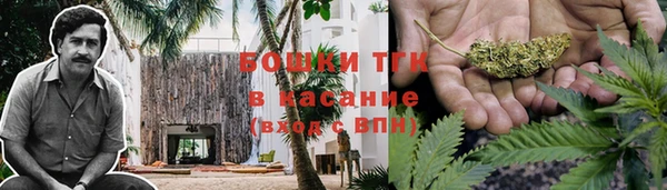 дмт Арсеньев