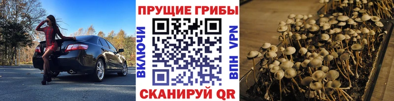 нарко площадка официальный сайт  купить закладку  Олёкминск  Псилоцибиновые грибы Magic Shrooms 